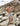 Butterflight Olive Swim Shorts with UPF 50+ sun protection boy