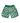 Electric Zebra Emerald Swim Shorts with UPF 50+ sun protection flatlay